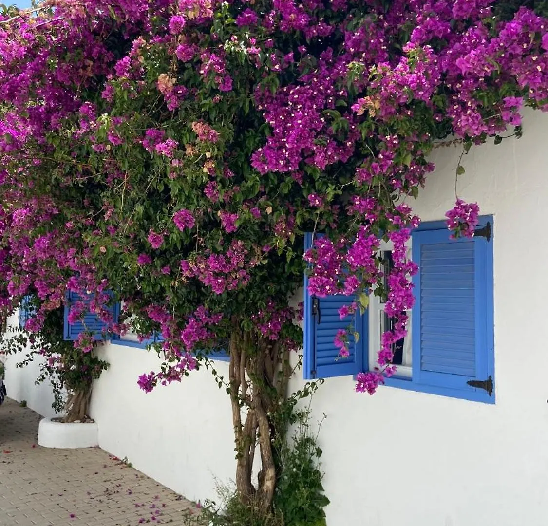 Holiday home Villa Cruz Fernan Perez